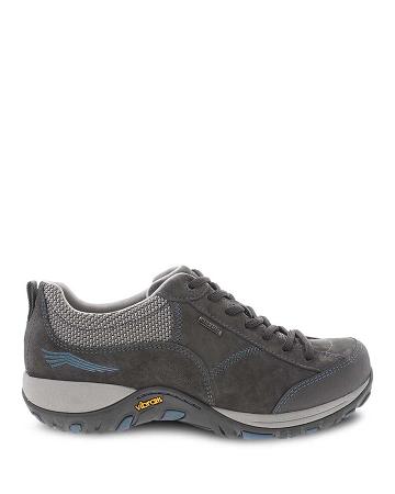 Wide Shoes Dansko Paisley Daim Femme Grise Bleu | FR 899PJJ
